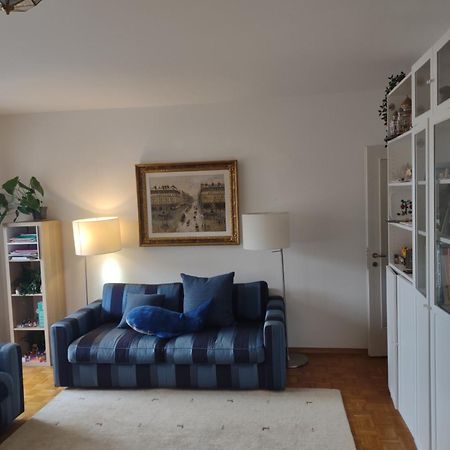 Appartamento Bellavista Lugano Massagno エクステリア 写真
