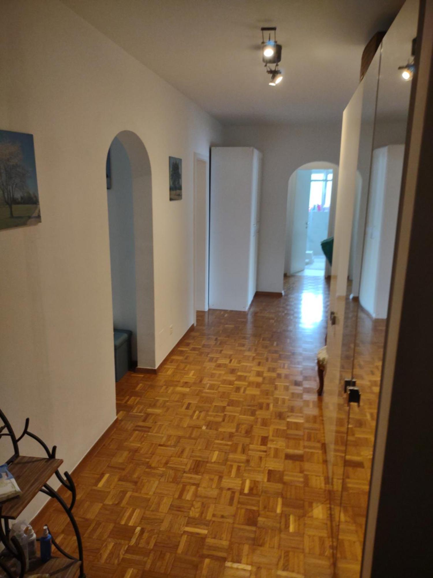 Appartamento Bellavista Lugano Massagno エクステリア 写真