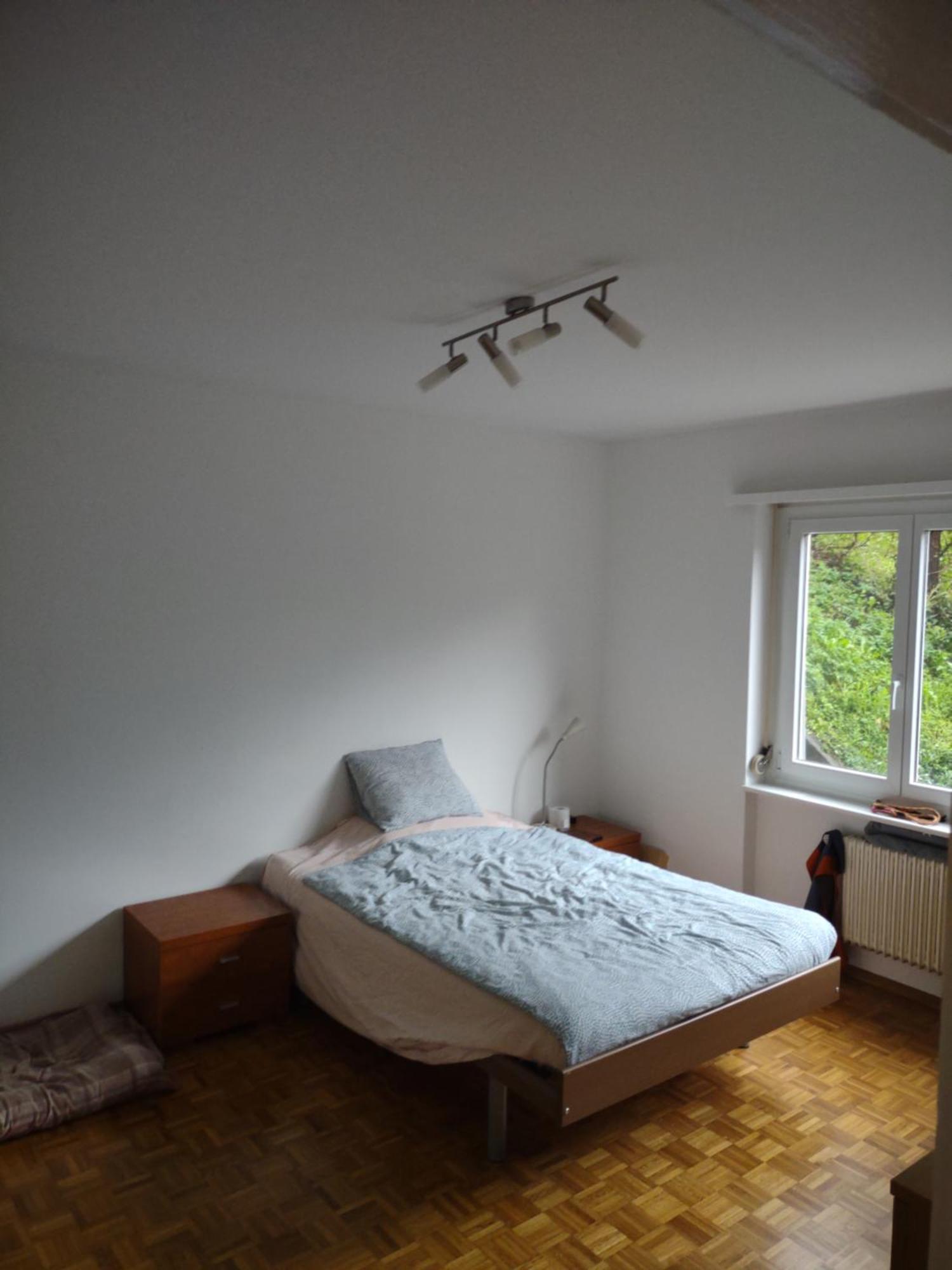 Appartamento Bellavista Lugano Massagno エクステリア 写真